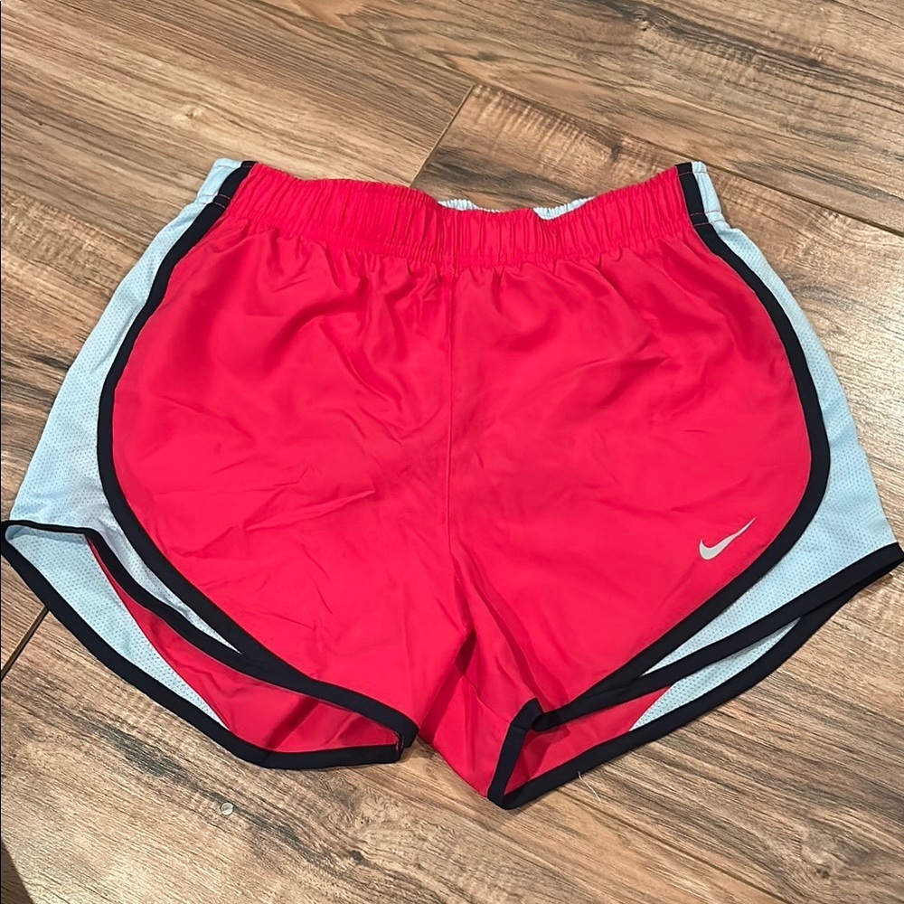 Nike Women's pink/blue Running Shorts